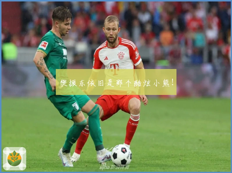 樊振东依旧是那个酷炫小熊！