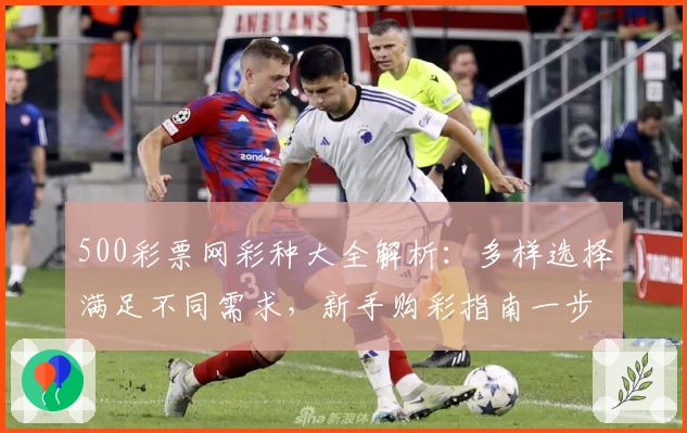 500彩票网彩种大全解析：多样选择满足不同需求，新手购彩指南一步到位